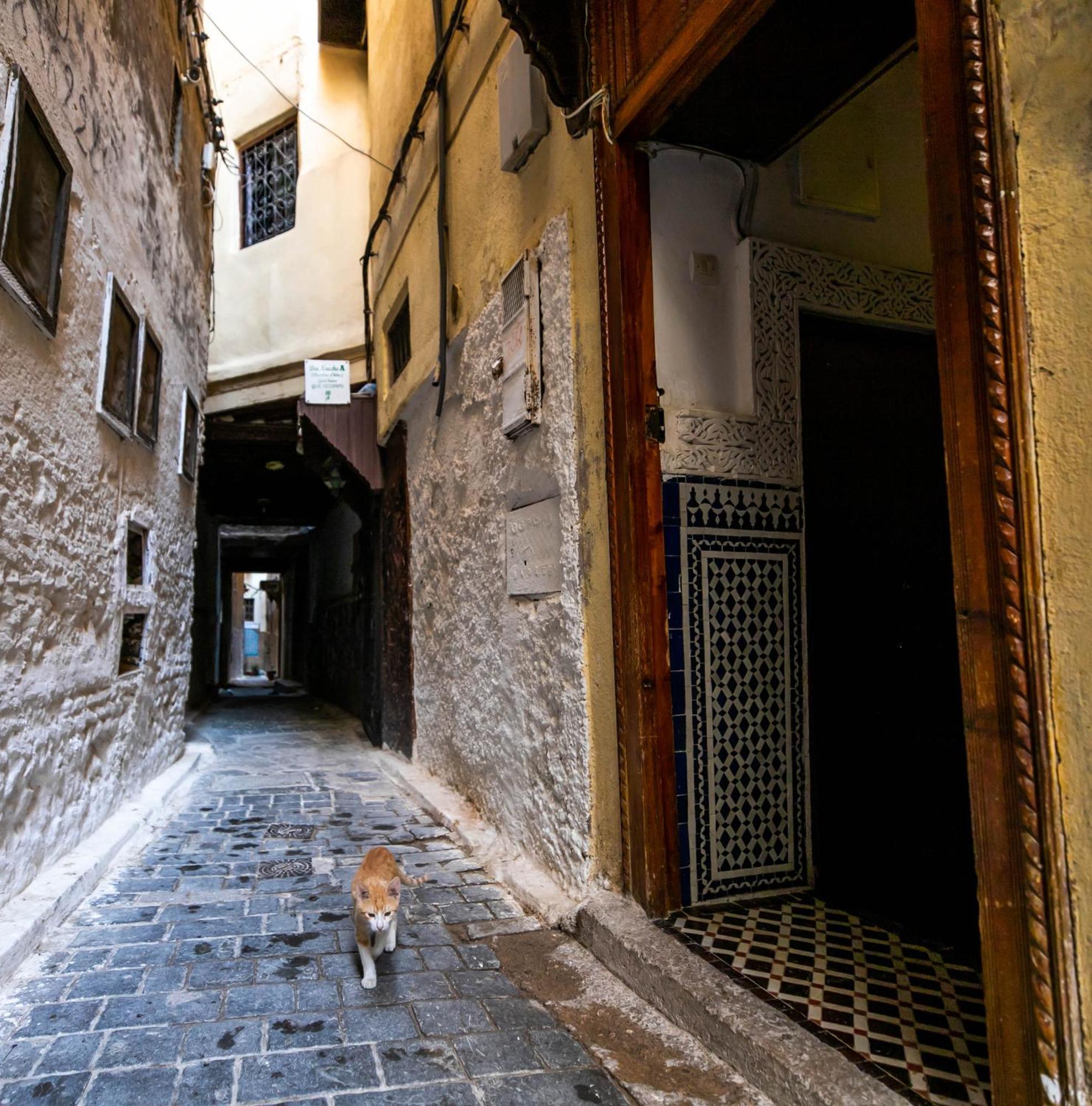 Riad Dar Omar เฟส ภายนอก รูปภาพ