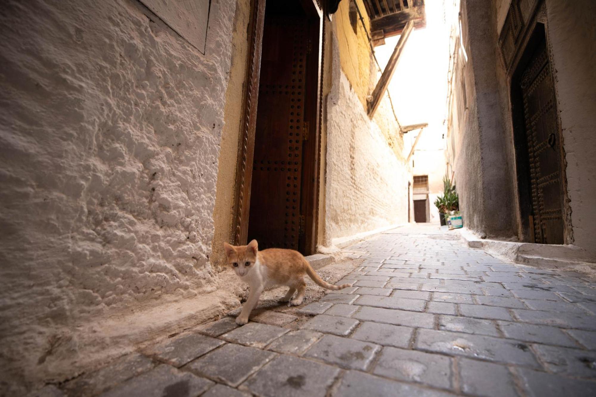 Riad Dar Omar เฟส ภายนอก รูปภาพ